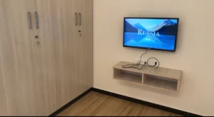 Photograph of a TV in a luxurious coliving PG.